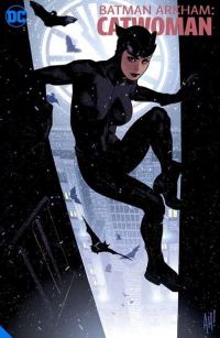 Book Cover for Catwoman by 