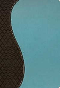 Book Cover for NKJV, The Woman's Study Bible, Leathersoft, Turquoise/Brown by Thomas Nelson