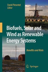 Book Cover for Biofuels, Solar and Wind as Renewable Energy Systems by David Pimentel