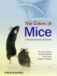 Book Cover for The Colors of Mice by M Lynn Lamoreux