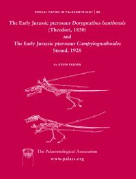 Book Cover for The Early Jurassic Pterosaur Dorygnathus Bathensis (Teodori, 1830) by Kevin Padian