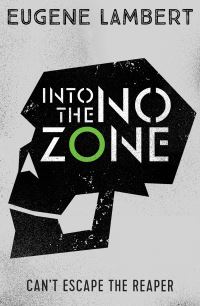 Book Cover for Into the No-Zone by Eugene Lambert