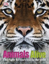 Book Cover for Animals Alive by Lee Wilson, Holly Beaumont, Lorrie Mack