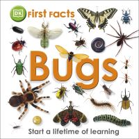 Book Cover for Bugs by Penelope Arlon
