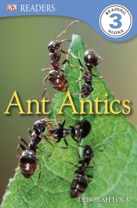 Book Cover for Ant Antics by Deborah Lock