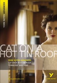 Book Cover for Cat on a Hot Tin Roof, Tennessee Williams by Steve Roberts