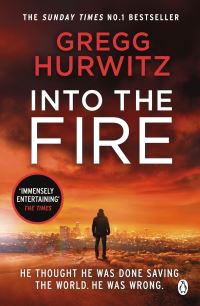 Book Cover for Into the Fire by Gregg Hurwitz