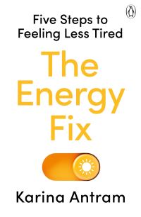 Book Cover for The Energy Fix by Karina Antram