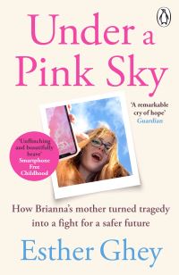Book Cover for Under a Pink Sky by Esther Ghey, Gay Longworth