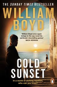 Book Cover for Cold Sunset by William Boyd