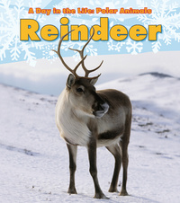 Book Cover for Reindeer by Katie Marsico