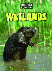 Book Cover for Wetlands by Buffy Silverman