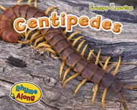 Book Cover for Centipedes by Rebecca Rissman