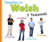 Book Cover for Families in Welsh by Daniel Nunn