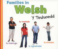 Book Cover for Families in Welsh by Daniel Nunn