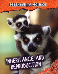 Book Cover for Inheritance and Reproduction by Jen Green