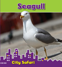 Book Cover for Seagull by Isabel Thomas