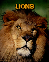 Book Cover for Lions by Claire Throp