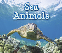 Book Cover for Sea Animals by Siân Smith