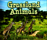 Book Cover for Grassland Animals by Siân Smith
