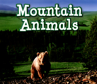 Book Cover for Mountain Animals by Siân Smith