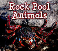 Book Cover for Rock Pool Animals by Siân Smith