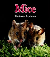 Book Cover for Mice by Rebecca Rissman