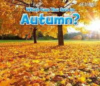 Book Cover for What Can You See in Autumn? by Siân Smith