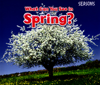 Book Cover for What Can You See in Spring? by Siân Smith