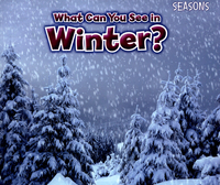 Book Cover for What Can You See in Winter? by Siân Smith