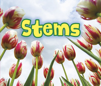 Book Cover for All About Stems by Claire Throp