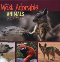 Book Cover for The Most Adorable Animals in the World by Tammy Gagne
