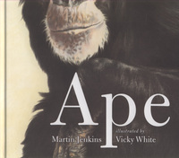 Book Cover for Ape by Martin Jenkins, Vicky White