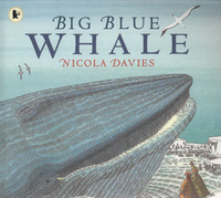 Book Cover for Big Blue Whale by Nicola Davies, Nick Maland