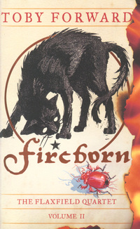 Book Cover for Fireborn by Toby Forward,  Jim Kay