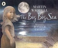 Book Cover for The Big Big Sea by Martin Waddell, Jennifer Eachus