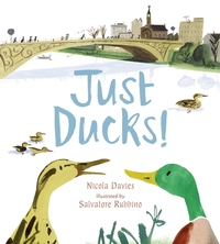 Book Cover for Just Ducks! by Nicola Davies, Salvatore Rubbino