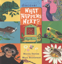 Book Cover for What Happens Next? by Nicola Davies, Marc Boutavant