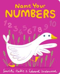 Book Cover for Name Your Numbers by Smriti PrasadamHalls