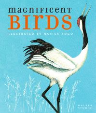 Book Cover for Magnificent Birds by Royal Society for the Protection of Birds