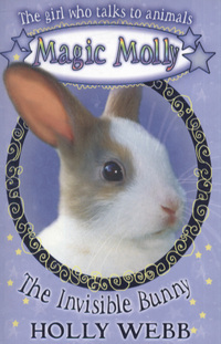 Book Cover for The Invisible Bunny by Holly Webb, EricaJane Waters