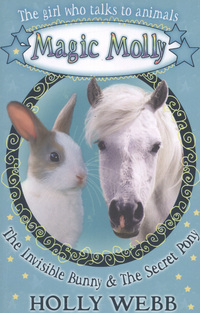 Book Cover for The Invisible Bunny by Holly Webb