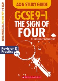 Book Cover for The Sign of Four by Marie Lallaway