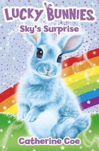 Book Cover for Sky's Surprise by Catherine Coe