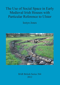 Book Cover for The Use of Social Space in Early Medieval Irish Houses With Particular Reference to Ulster by Iestyn Jones