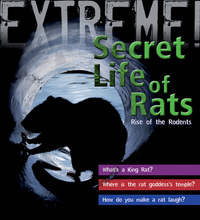 Book Cover for Secret Life of Rats by Trevor Day