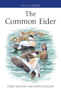Book Cover for The Common Eider by Chris Waltho, John Coulson