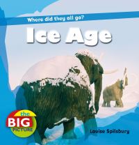 Book Cover for Ice Age by Louise Spilsbury