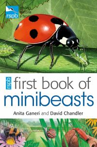 Book Cover for RSPB First Book of Minibeasts by Anita Ganeri, David Chandler, Royal Society for the Protection of Birds