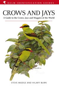 Book Cover for Crows and Jays by Steve Madge, Hilary Burn